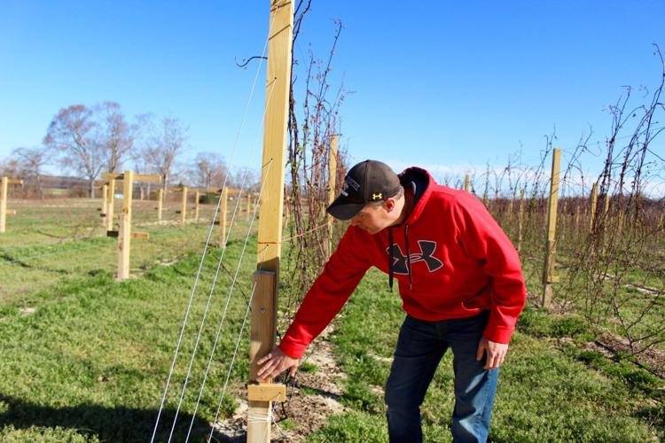 The faces of farming Swann Farms Spotlight