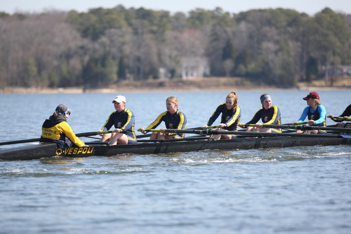 St Mary S College Of Maryland Sailing Rowing Teams Continuing To Improve News Somdnews Com