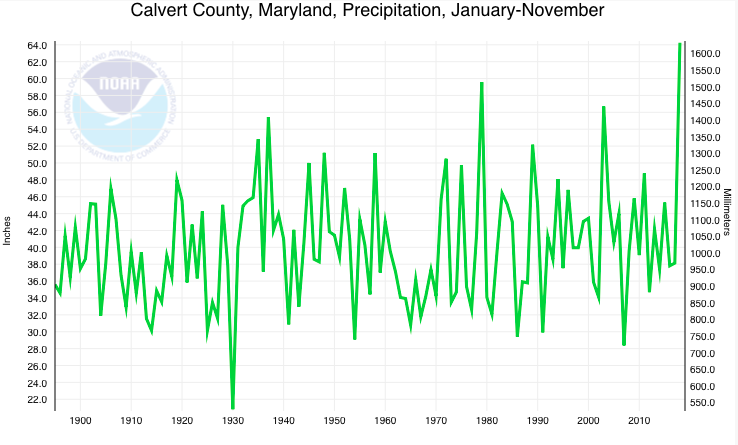 2018 sets new high in rainfall to become wettest year on record ...