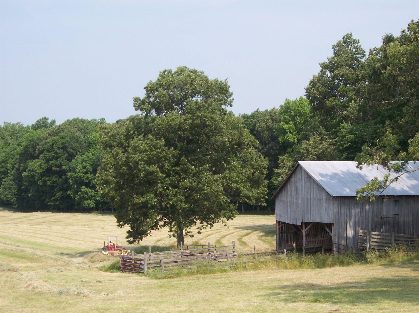 Zekiah Swamp Run receives conservation grant | Local News | somdnews.com