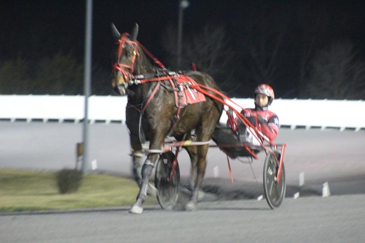 Rosecroft puts finishing touches on February slate | The Enquirer ...