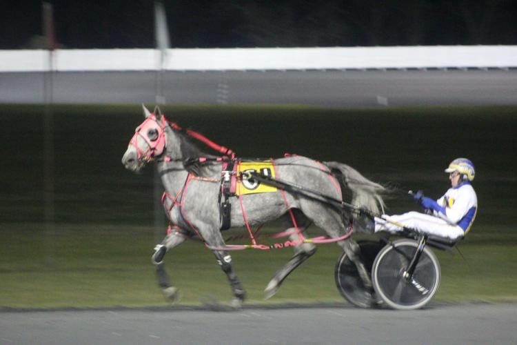 Rosecroft concludes 2025 racing season | Local News | somdnews.com