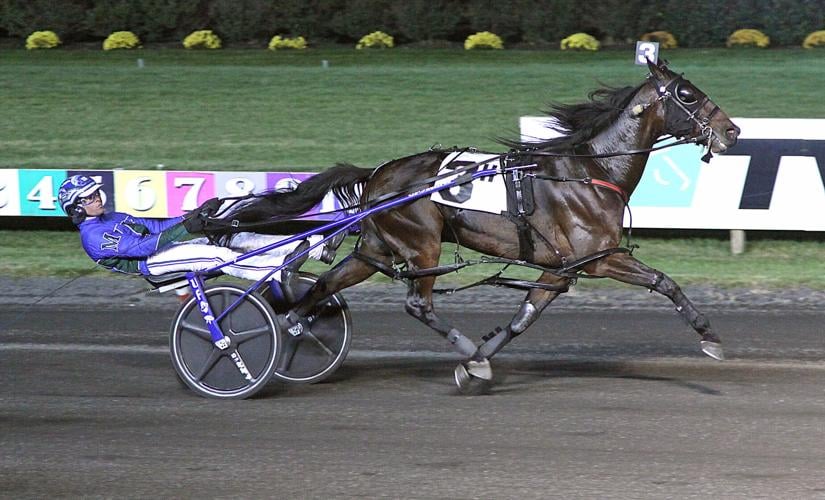 Potomac Pace on tap at Rosecroft | Local News | somdnews.com