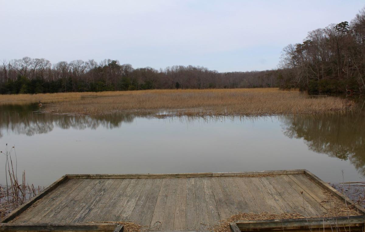Getting back to nature at Kings Landing Park Spotlight