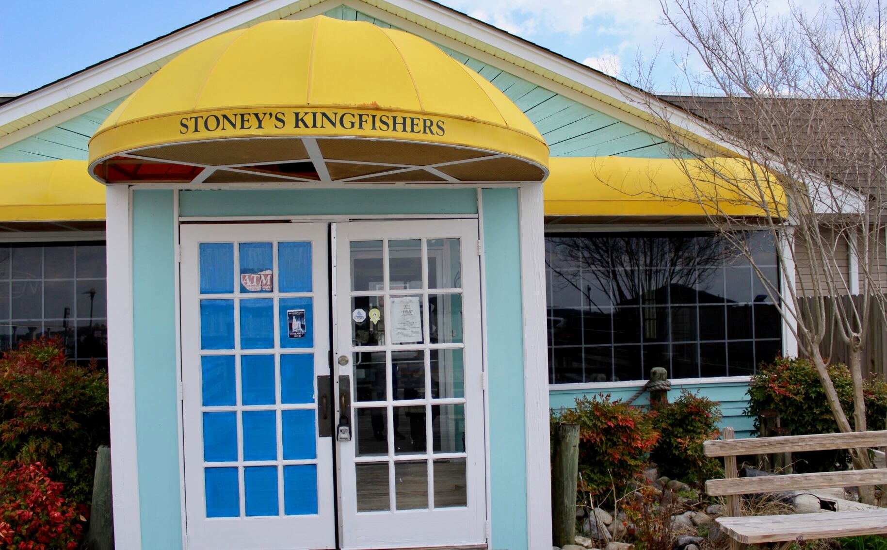 Stoney's Kingfishers