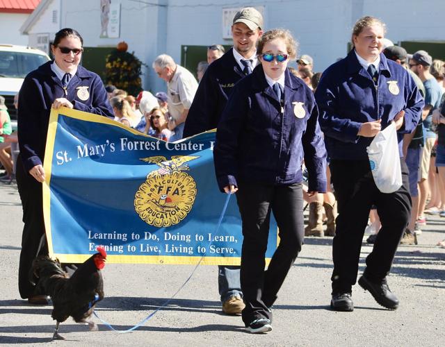 Discovering the St. Mary's County Fair Spotlight