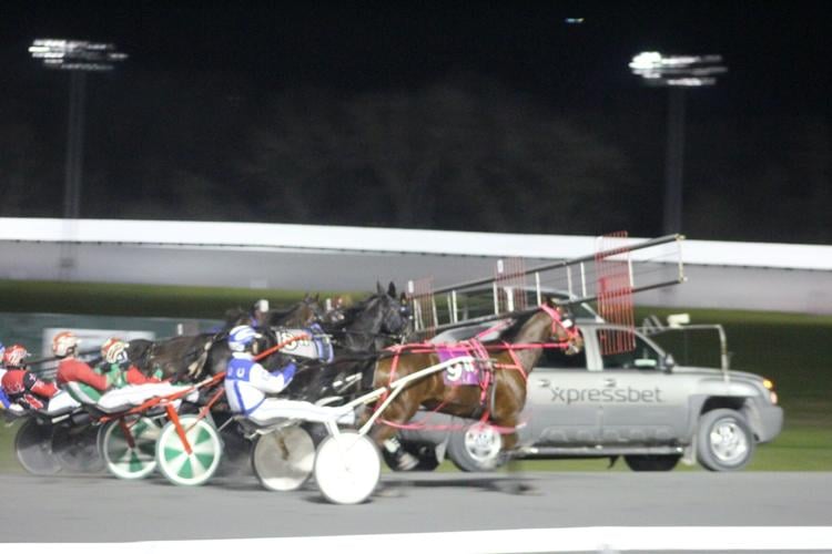 Rosecroft caps busy November slate | News | somdnews.com