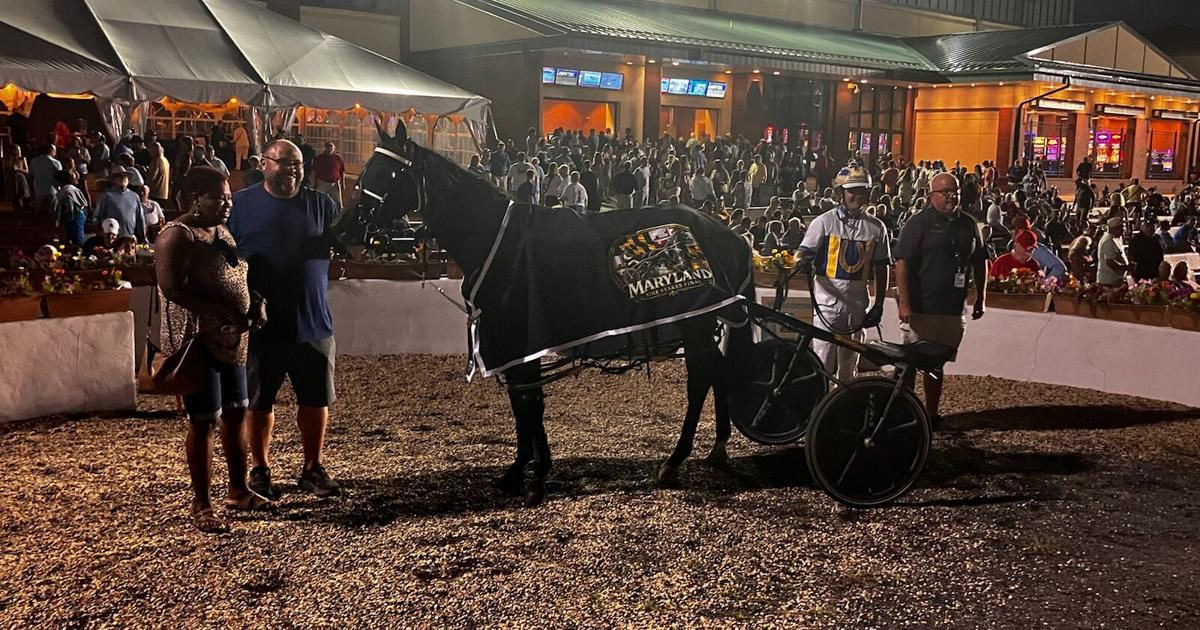 Charles County horsemen shine at Ocean Downs