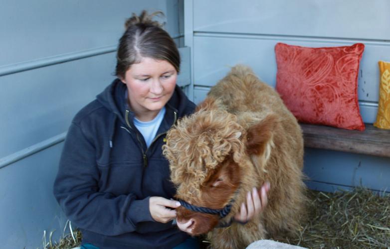 Fall mental health fest held at academy Local News