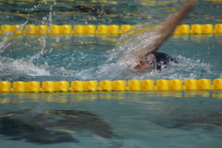 Smac Swimmers Shine In State Meet High School