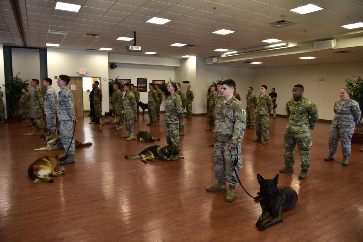 Services held for military working dog