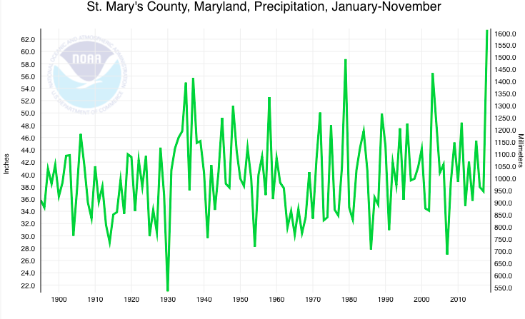 2018 sets new high in rainfall to become wettest year on record ...