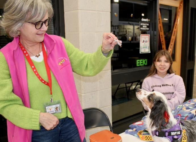 Fall mental health fest held at academy Local News