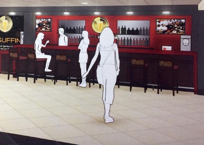 Aging St. Mary's movie theater presents concept of adding alcohol to