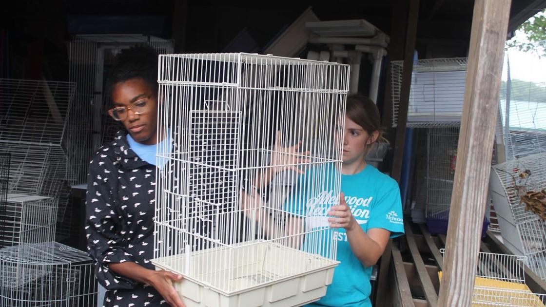 Community Resources Clubs And Organizations In Charles County Md Charles County Guide Somdnews Com