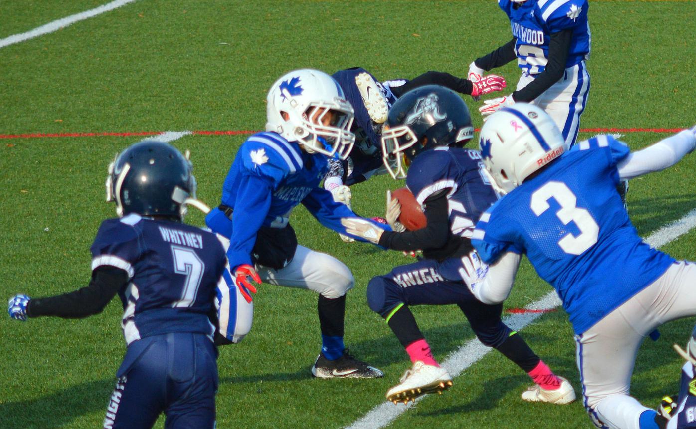 La Plata Blue Knights 8U football finishes second in the state