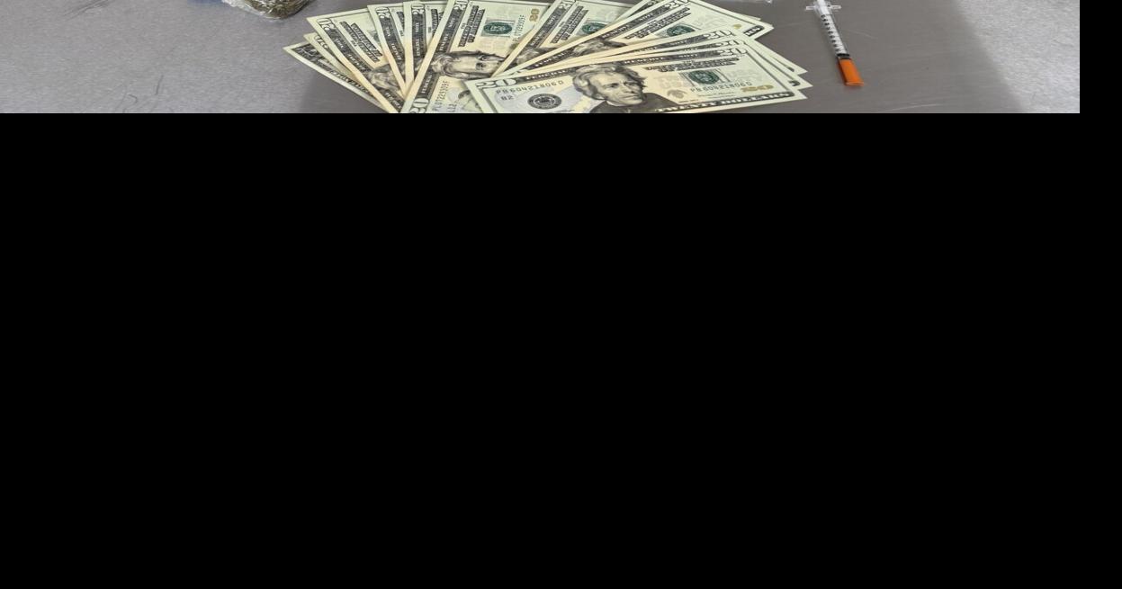 Two arrested on drug charges as result of eastern Pulaski traffic stop ...