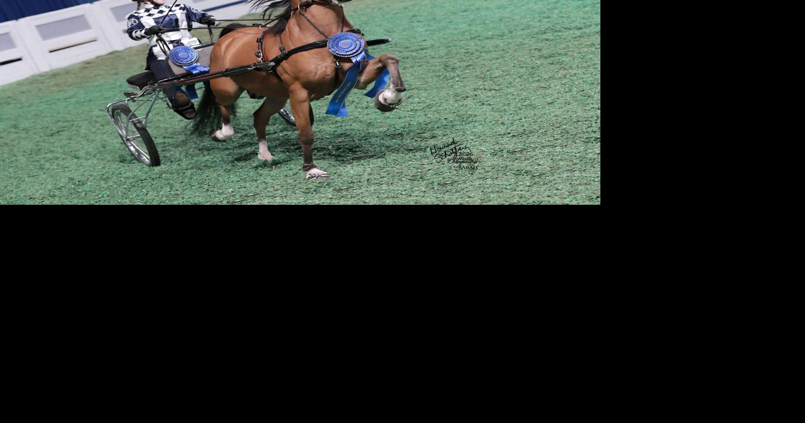 My Winning Pony: Meece Middle student earns World's Champion title at horse show