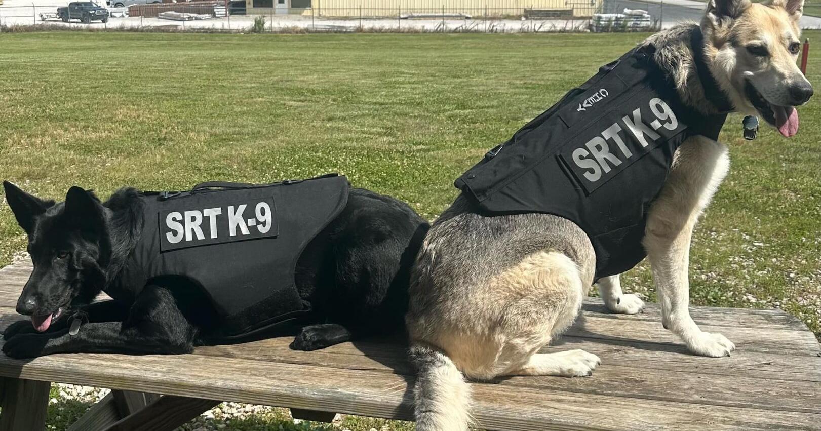 SRT fetches protective vests, health coverage for K9 units - Vimarsana News