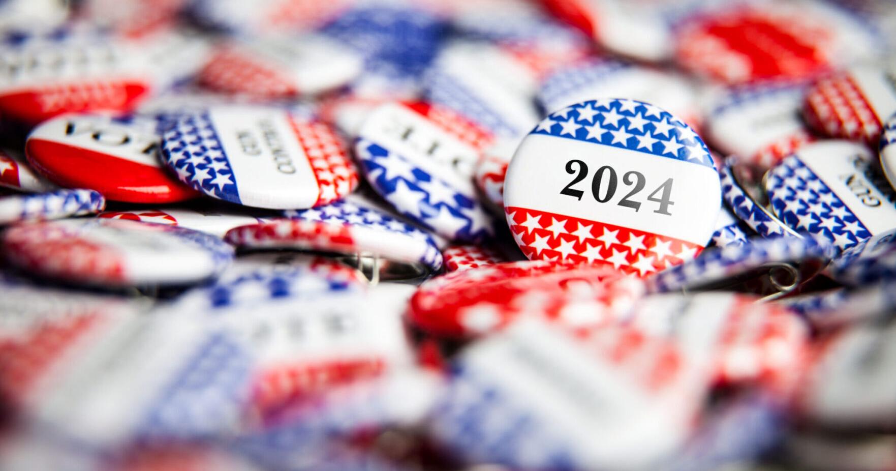 Pulaski sees low voter turnout for 2024 Primary - Vimarsana News