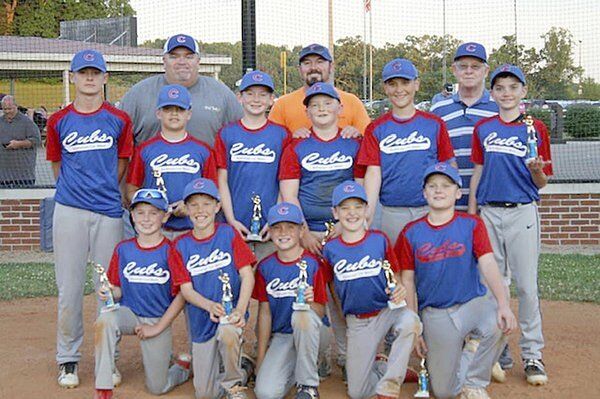 Cubs are Somerset Little League champs