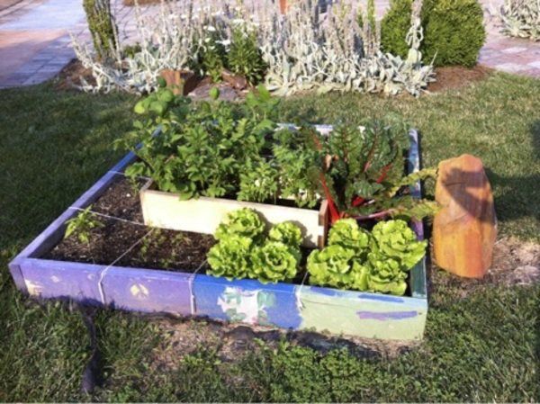 Raised bed gardens | Lifestyles | somerset-kentucky.com