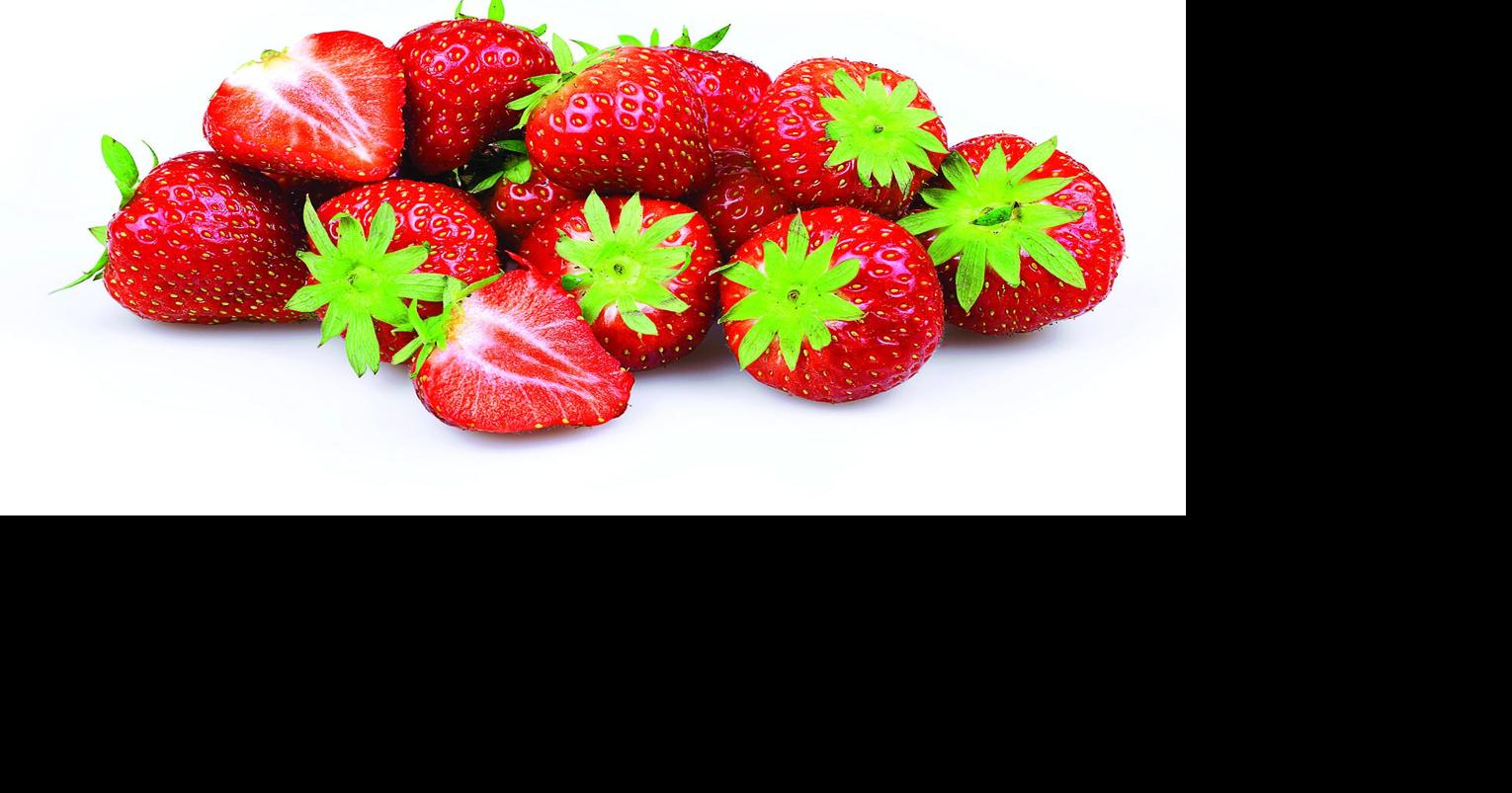 Freezing Foods for Freshness Year-Round