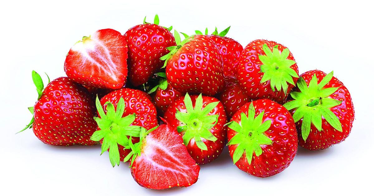 Freezing Foods for Freshness Year-Round