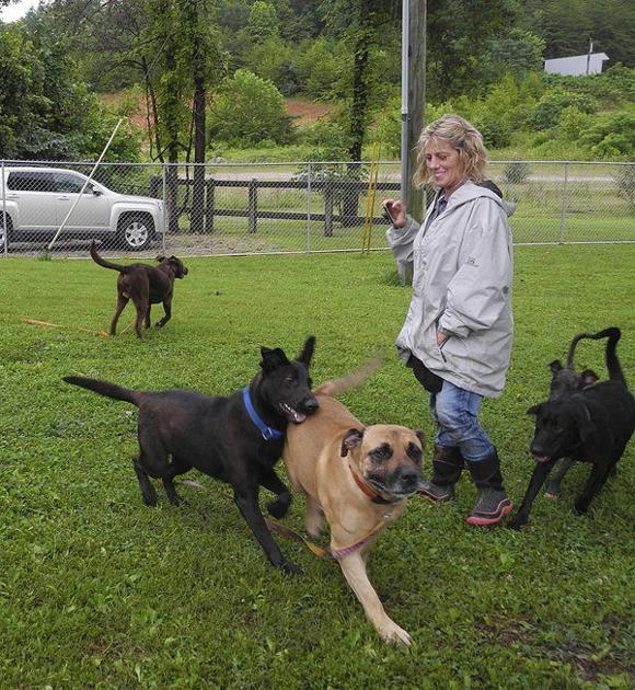 Animal Shelter launches new program to get more dogs out and about