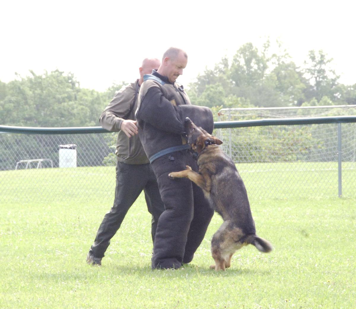 Somerset handler dating website