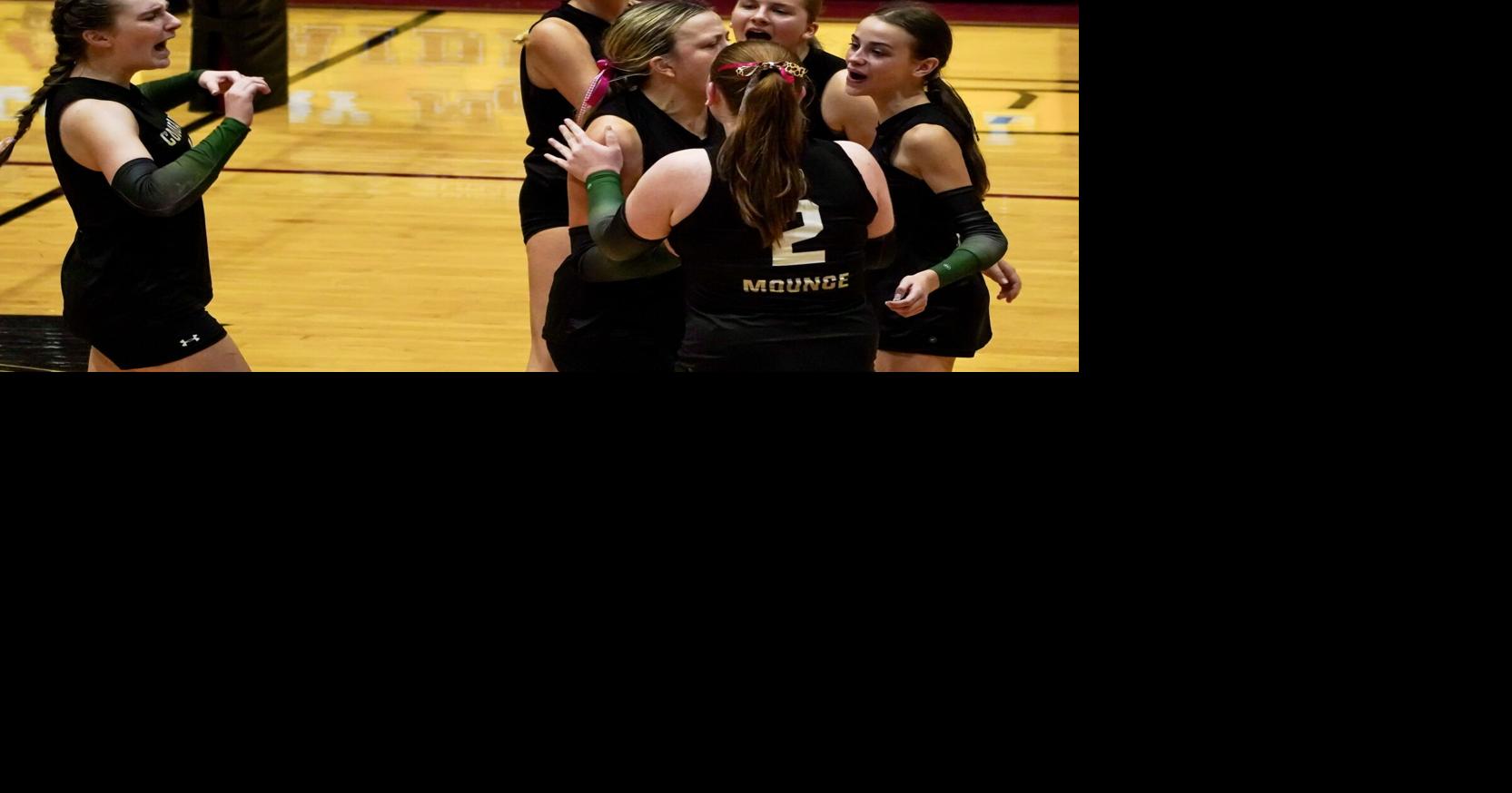 Lady Cougars claim second district volleyball title