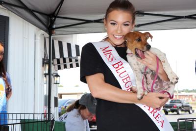 Dogs Cats Find New Homes At Animal Shelter Event News