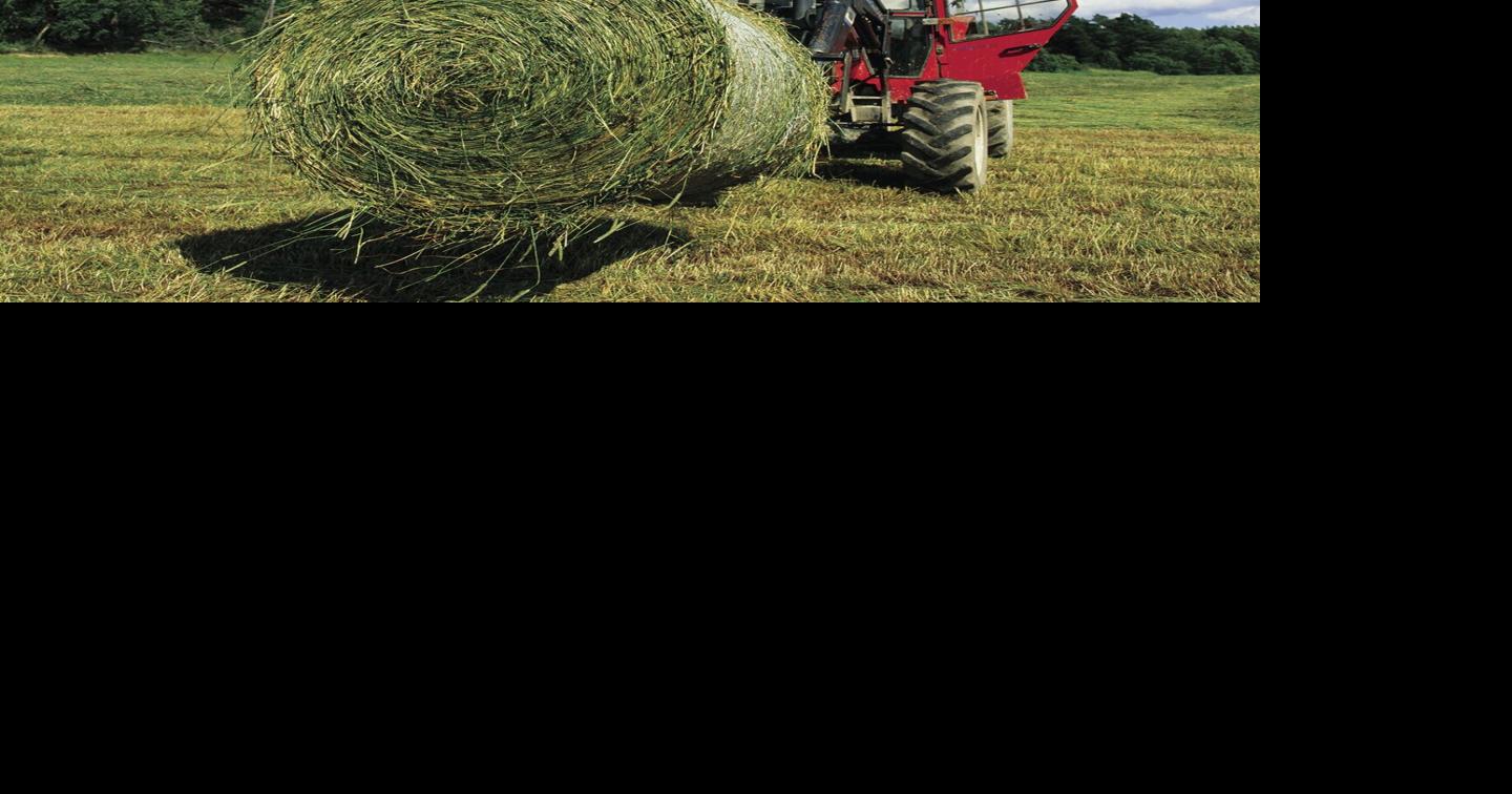 Managing limited Hay Supplies | Community | somerset-kentucky.com