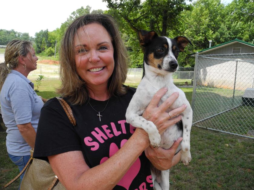 Local volunteers making a difference at animal shelter News