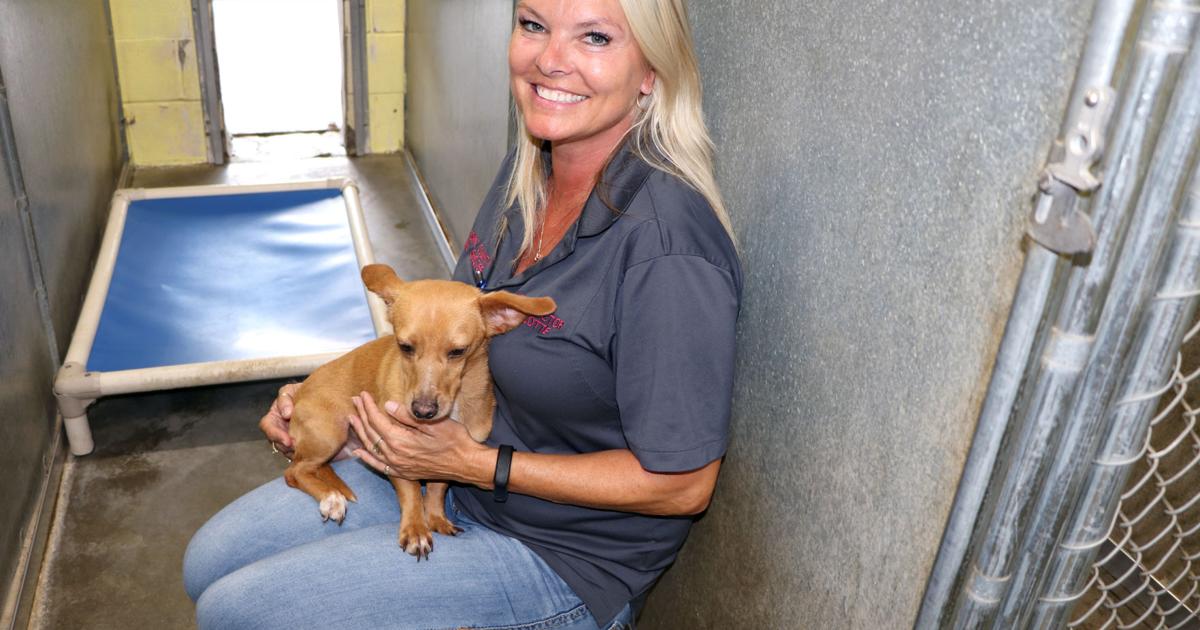 Pulaski Animal Shelter partnering with boutique for adoption event | News |  