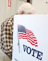 Pulaski sees strong turnout for General Election