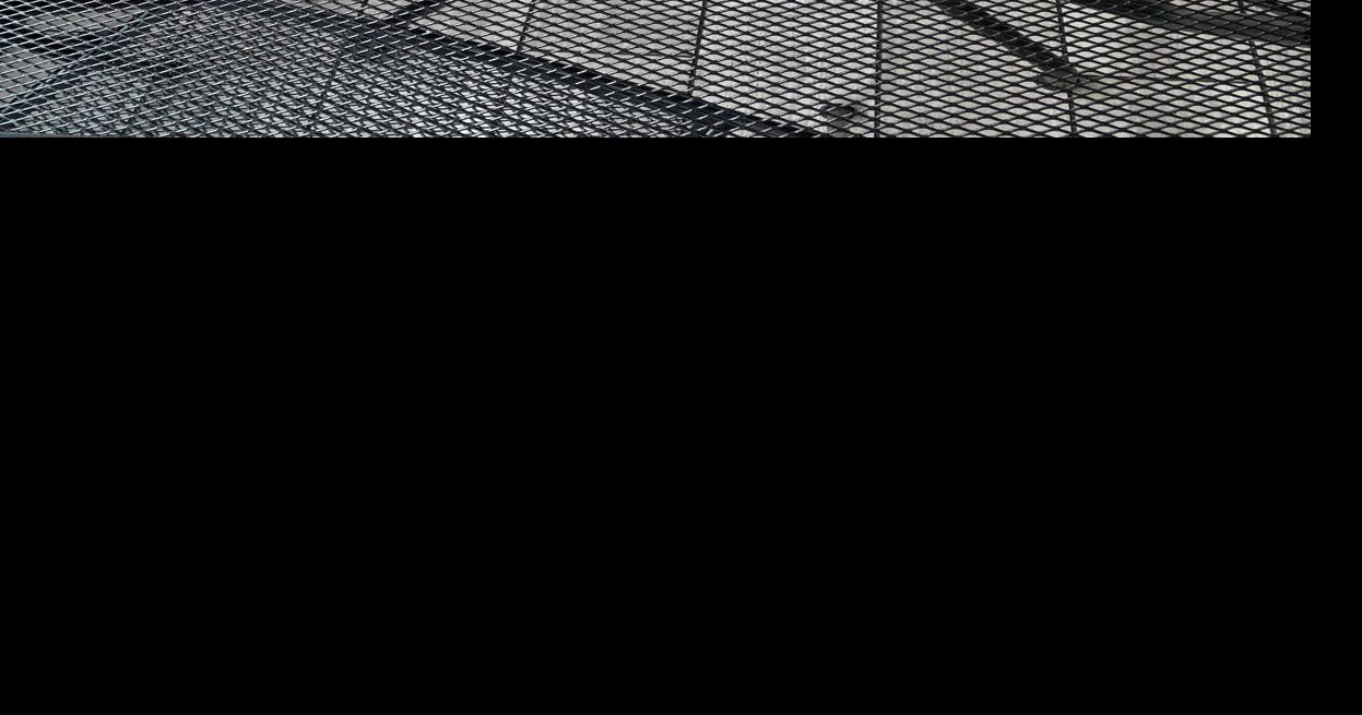 Wings and Rings menu