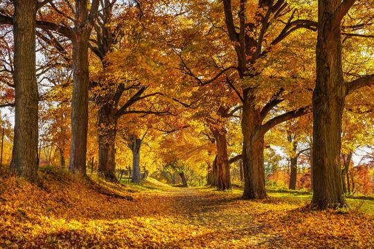 News somerset kentucky com