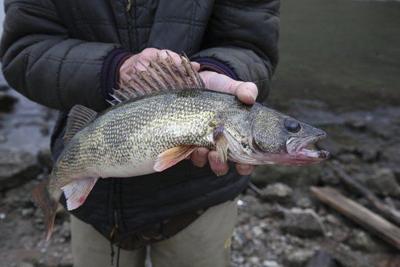 Kentucky Afield Outdoors: New Fishing Regulations for 2019