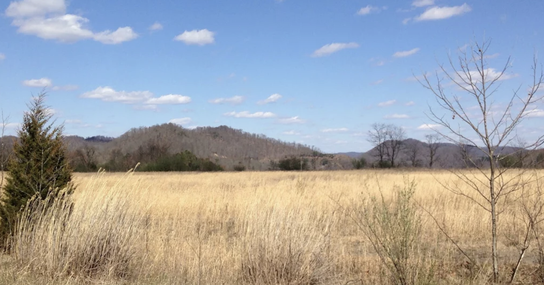 Plans for a federal prison in Letcher County draws criticism - Vimarsana News