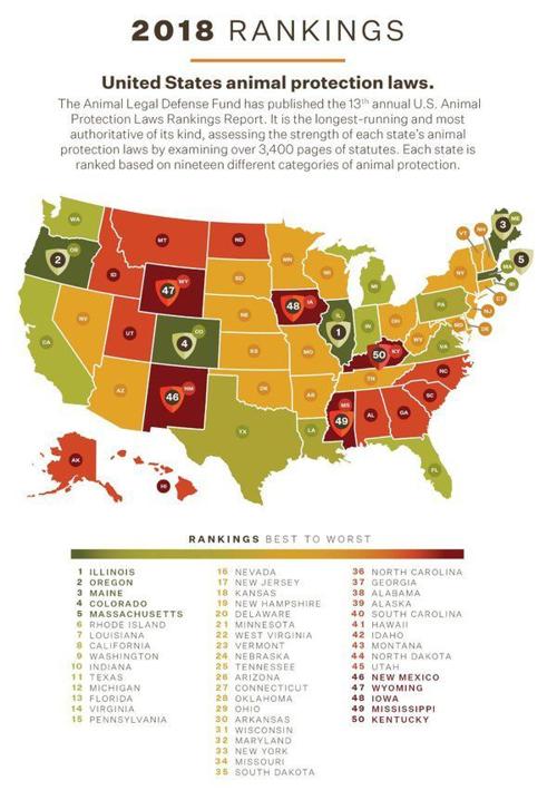 Kentucky Ranks Last For Animal Protection Laws Local News Somerset Kentucky Com