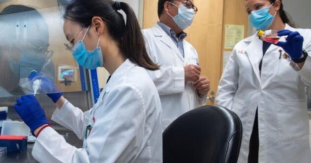 University of Louisville researchers get millions in federal funds to study immune system - Vimarsana News