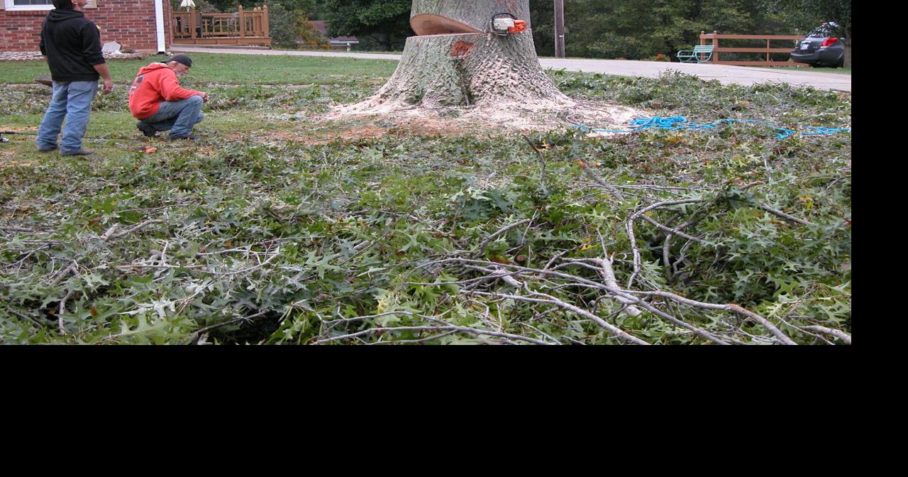 Two men hurt by rope while felling tree | News | somerset-kentucky.com