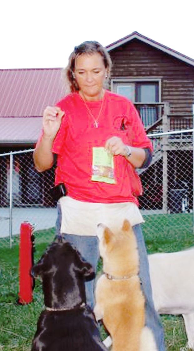 lake cumberland k9 training center