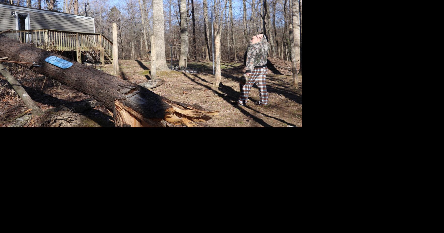 Tree falls on Eubank home, wind causes damage across Pulaski News