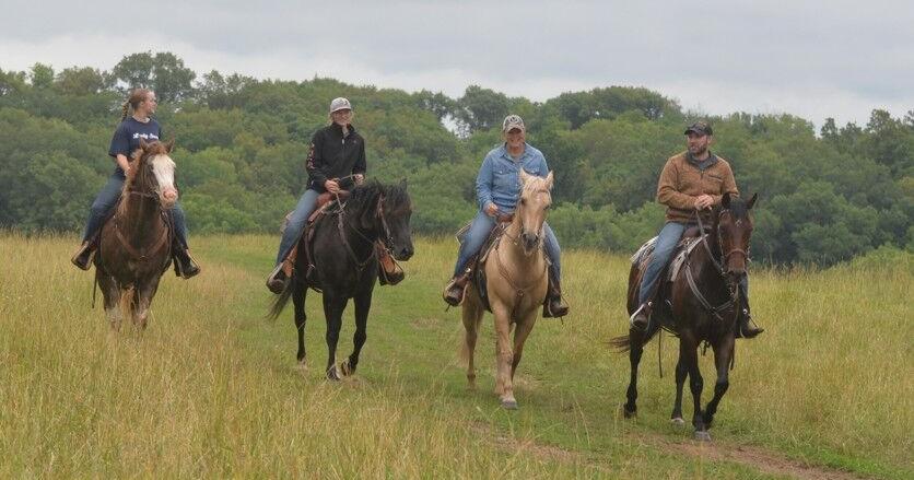 Pushing Cows With ‘Kill-Pen’ Horses