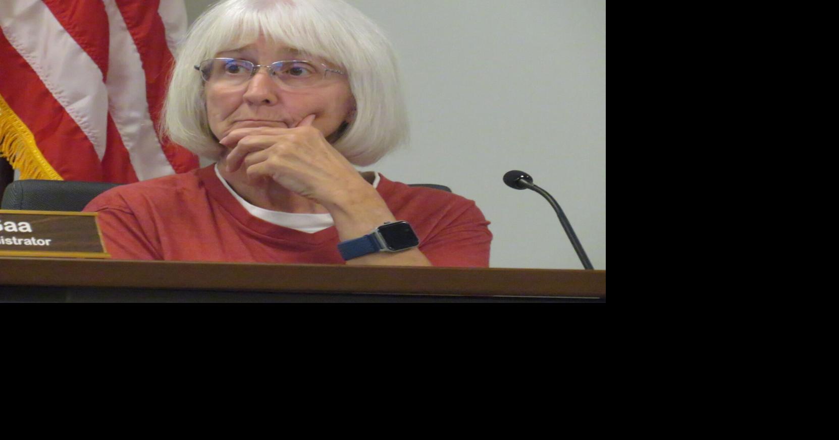 Washington City Council review pedestrian crossing study