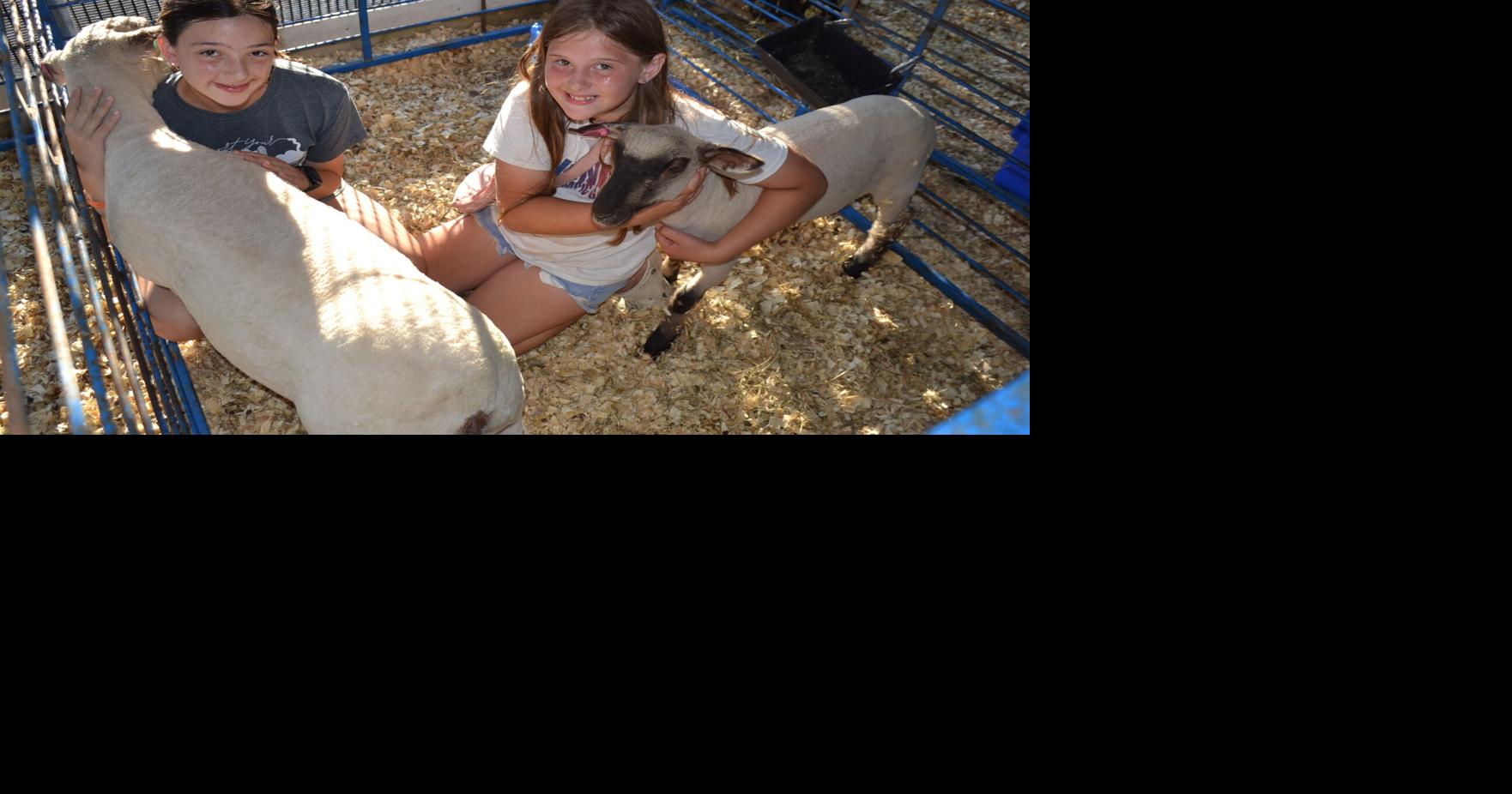 Greater Jefferson County Fair has it all