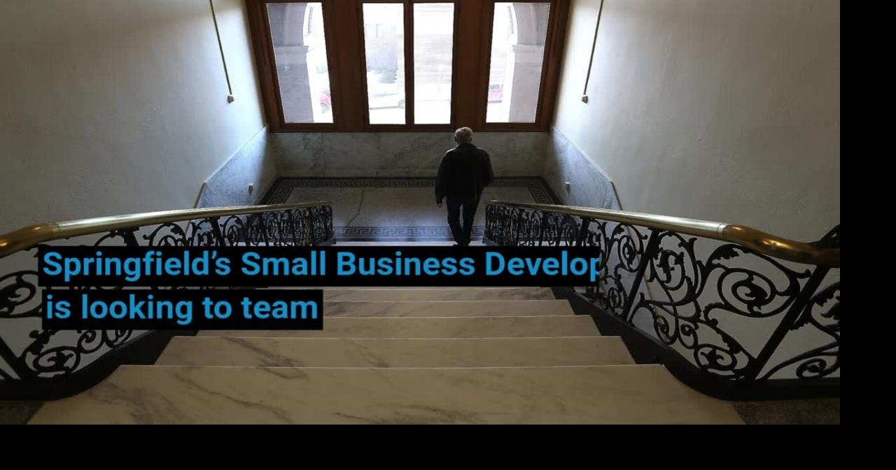 Springfield agency looks to launch program to help underserved ...