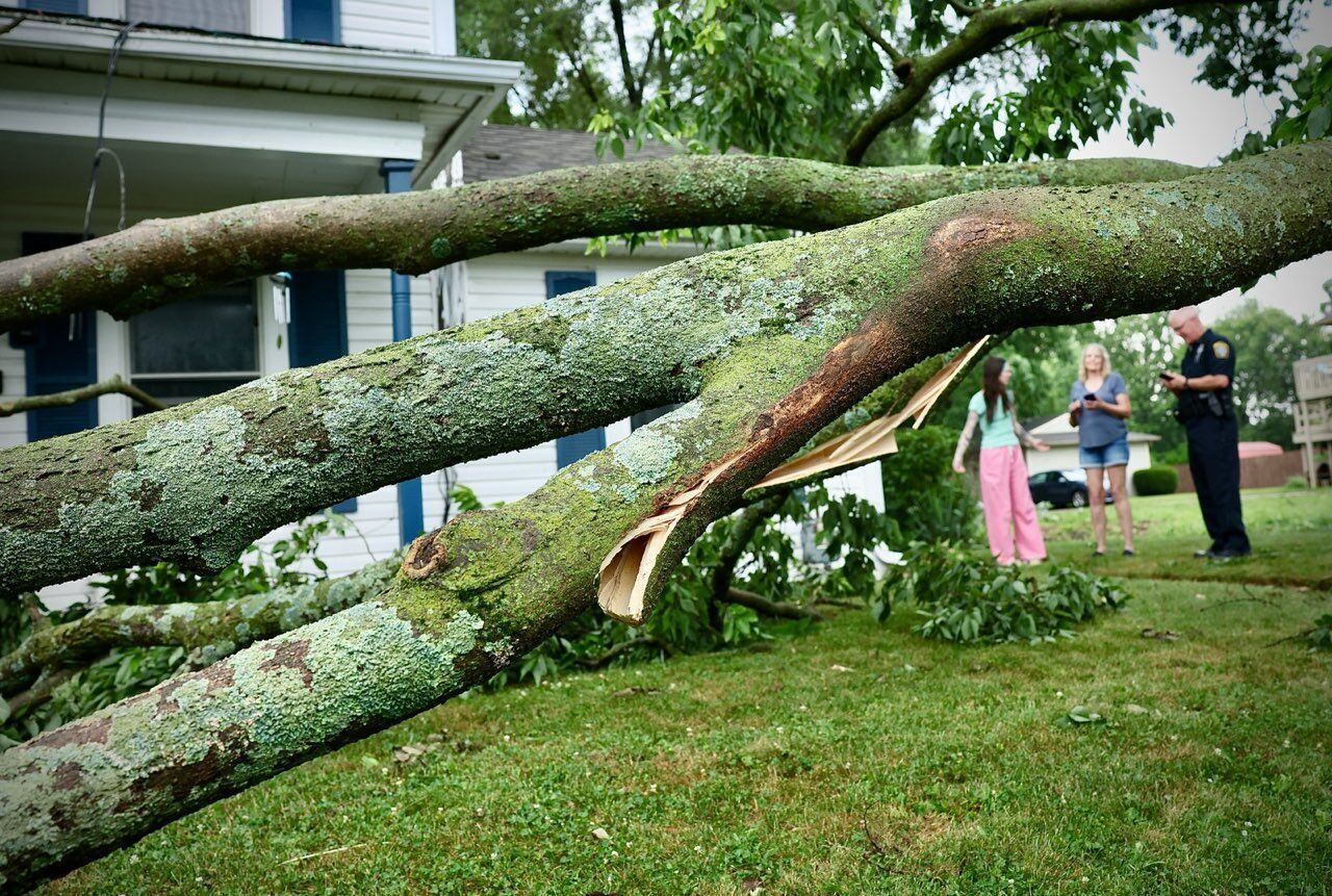 Power mostly restored after Friday’s storms downed trees, power lines ...